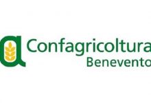Benevento| Scandalo a Confagricoltura