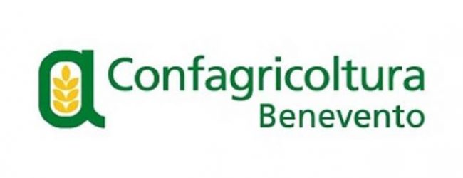 Benevento| Scandalo a Confagricoltura