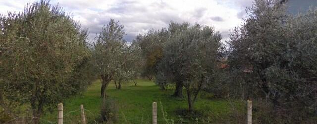 Benevento| Scompare di casa, anziano ritrovato senza vita