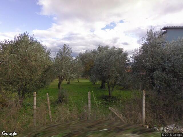 Benevento| Scompare di casa, anziano ritrovato senza vita