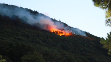 Campania tra roghi e incendi, Lopa: “dov’è il piano antincendio?”