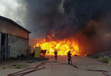 Avellino| Prevenzione incendi, prima ordinanza di Festa: multe fino a oltre 10mila euro