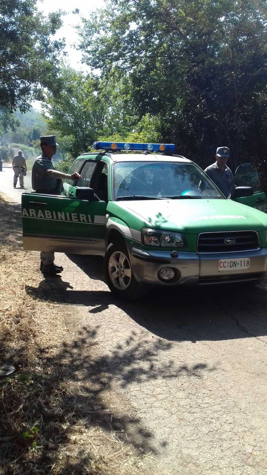 Solopaca| Appicca fuoco in un bosco, arrestato pensionato