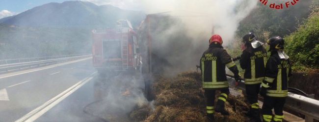 Avellino| Incendi in Irpinia, Foti e Municipale sottoscrivono accordo