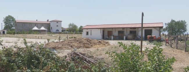 Pietrelcina| Nel cuore del Sannio nasce la prima “Residenza per Artisti”