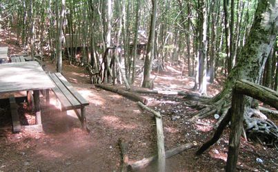 Pannarano| Vandali nell’Oasi WWF, bottino di 350 euro