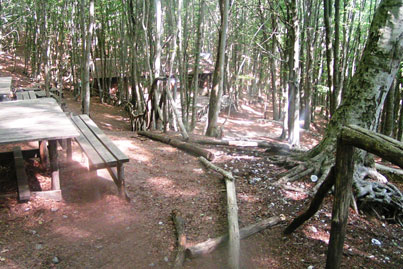 Pannarano| Vandali nell’Oasi WWF, bottino di 350 euro