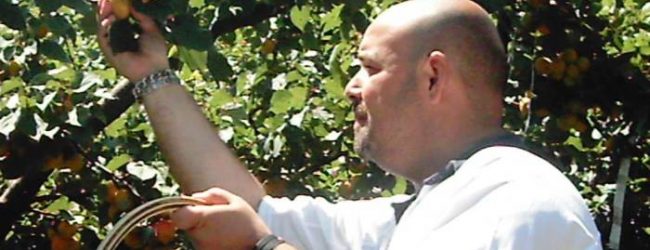 Arriva Lucifero, Lopa: vincere il caldo con frutta e verdura del territorio