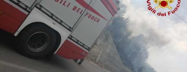 Irpinia in fiamme, distrutti 530 ettari di bosco