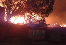 Incendi, Coldiretti: per incuria 12 mld di alberi preda dei piromani