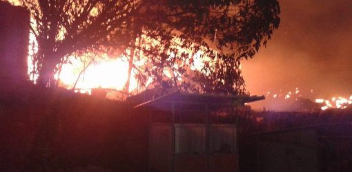 Incendi, Coldiretti: per incuria 12 mld di alberi preda dei piromani