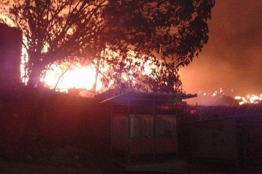 Incendi, Coldiretti: per incuria 12 mld di alberi preda dei piromani