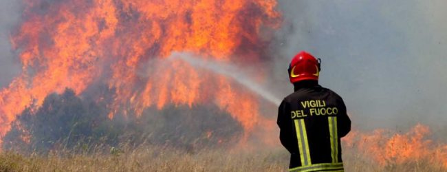 Incendi in Campania, l’allarme del Conapo: “siamo in pochi e con vecchi automezzi”