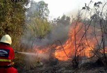 Incendi boschivi: in campo anche operai della Provincia