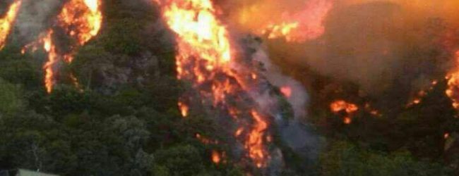 Incendi in Campania, Tesone (Conapo): “vigili del fuoco alle prese con l’apocalisse”