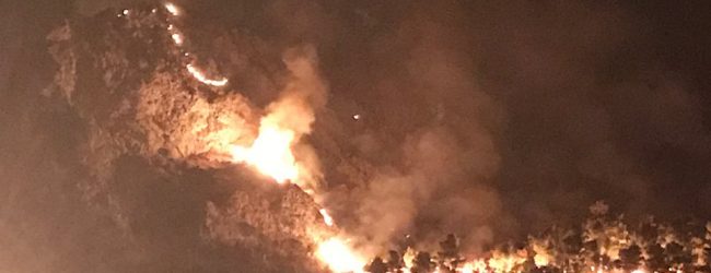 Foglianise| La denuncia del sindaco: “L’incendio di Monte Caruso è una ferita per la nostra comunità”