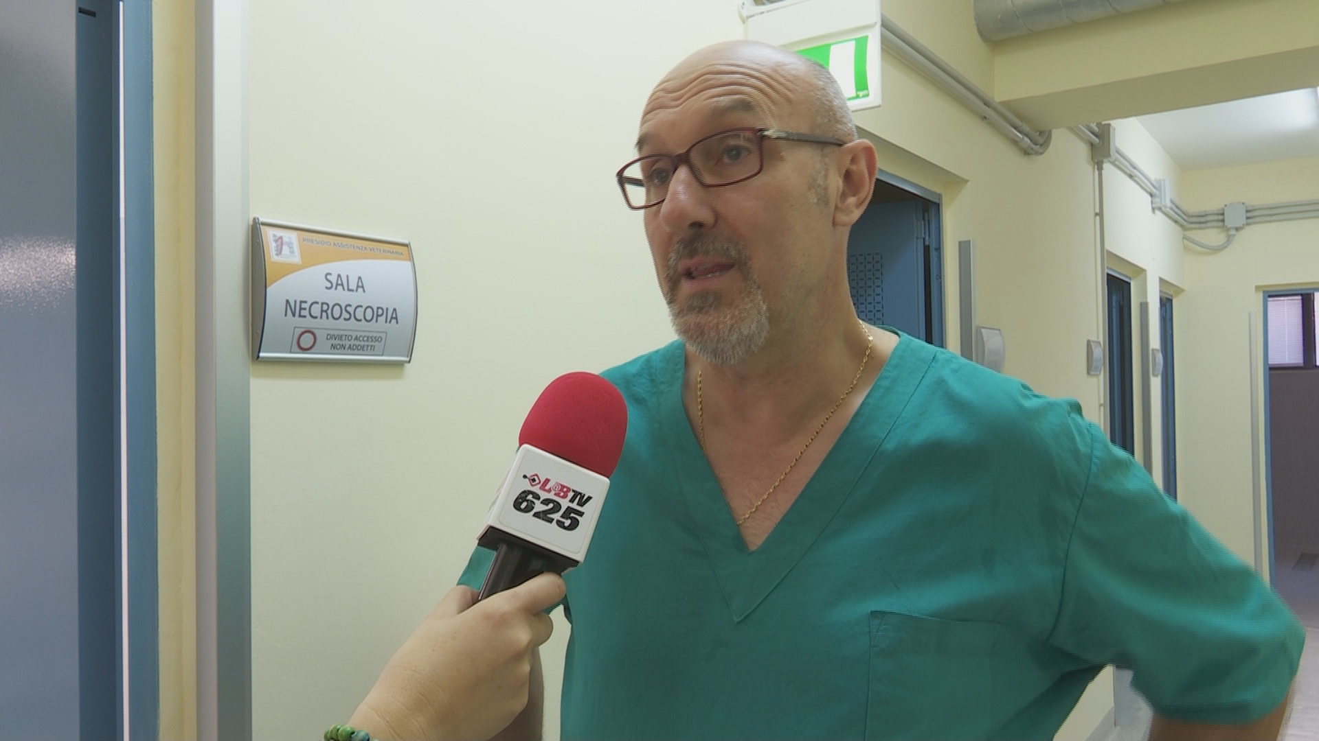 San Giorgio del Sannio| Alla scoperta dell’ospedale veterinario