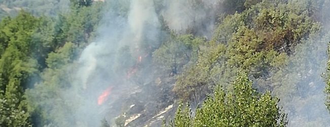 “Io non rischio”: missione prevenzione in Irpinia