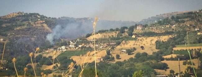 Forza Italia Giovani, sconcerto ed indignazione per incendio ad Apice