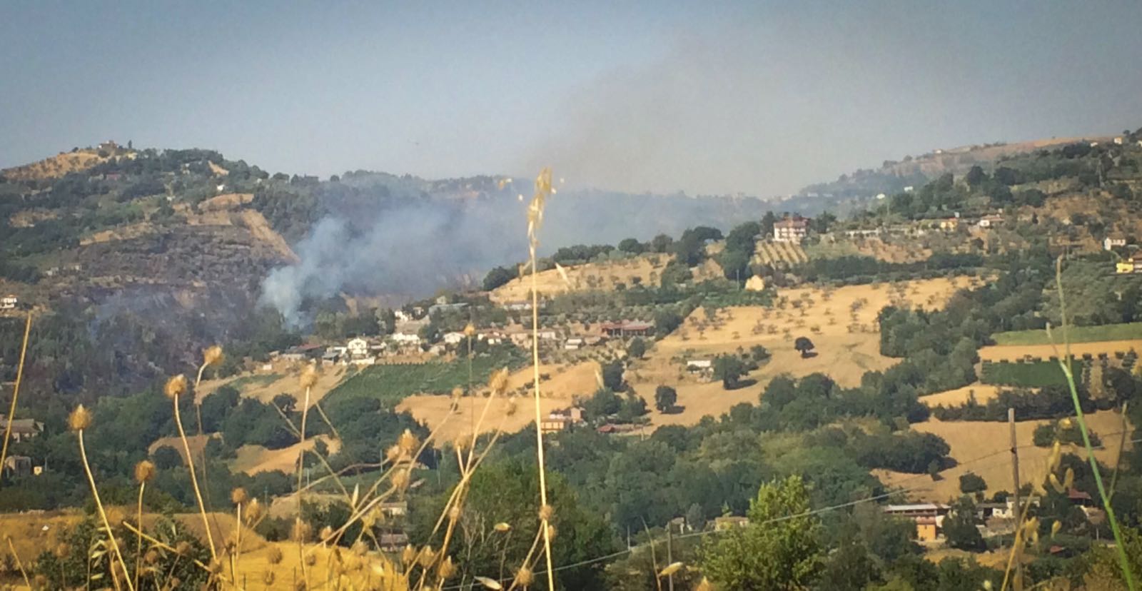 Forza Italia Giovani, sconcerto ed indignazione per incendio ad Apice