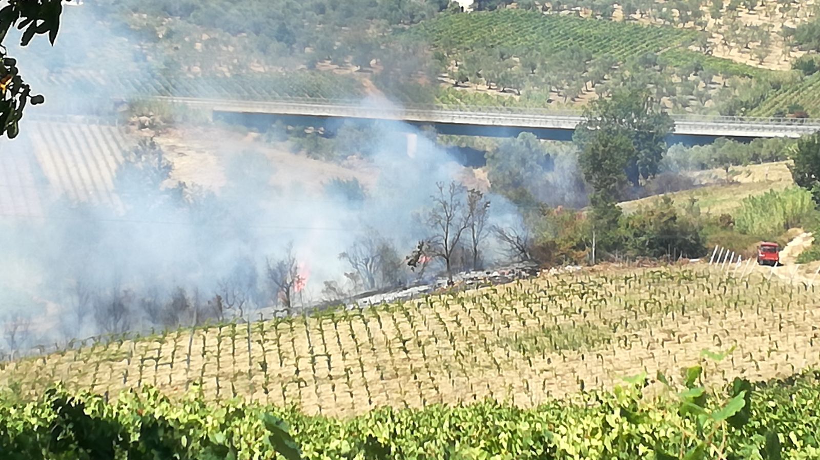 Brucia ancora il Sannio, fiamme a Solopaca/FOTO