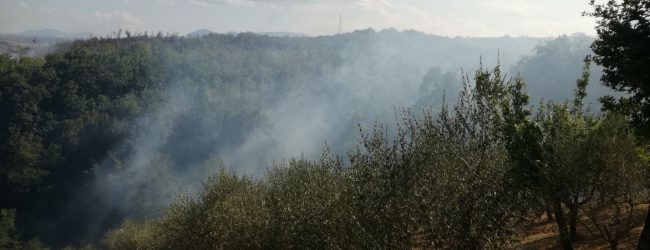 Martedi di incendi in valle Vitulanese e Telesina/FOTO