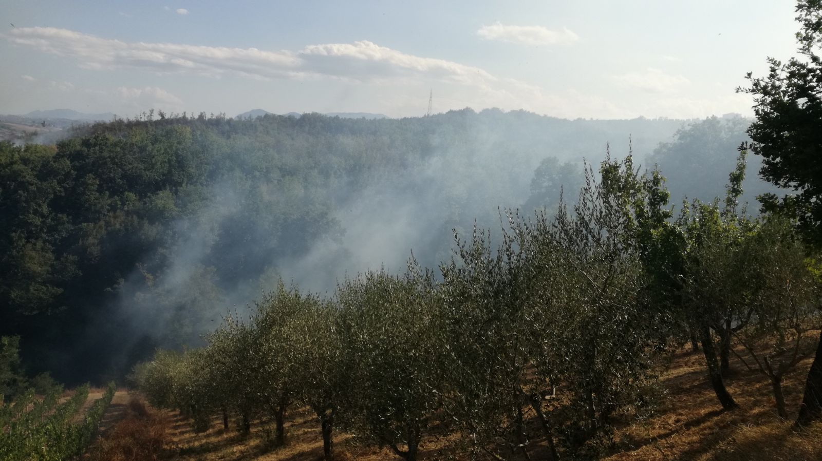Martedi di incendi in valle Vitulanese e Telesina/FOTO