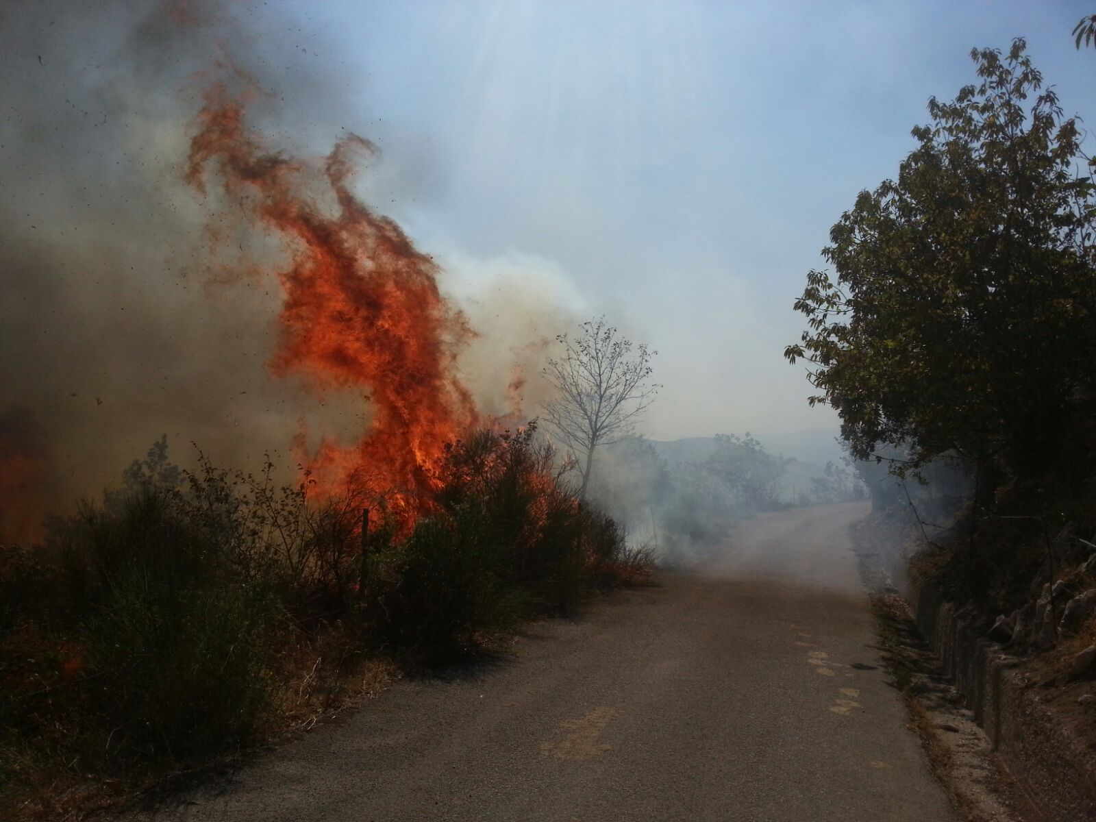 Ancora fiamme in Irpinia: interventi a Montevergine