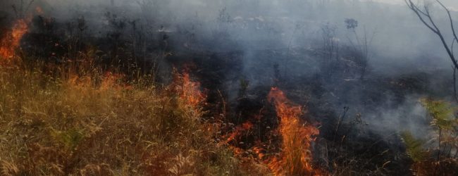 Brucia i rifiuti vegetali del suo terreno e incendia il bosco, denunciato 60enne di Montaguto