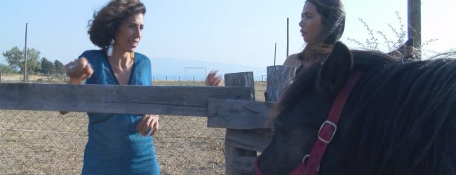 Pietrelcina| Residenza per artisti, incontro con Matilde Montanari