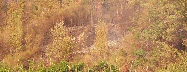 Allarme incendi: paura per i vigneti di Tufo/LE FOTO