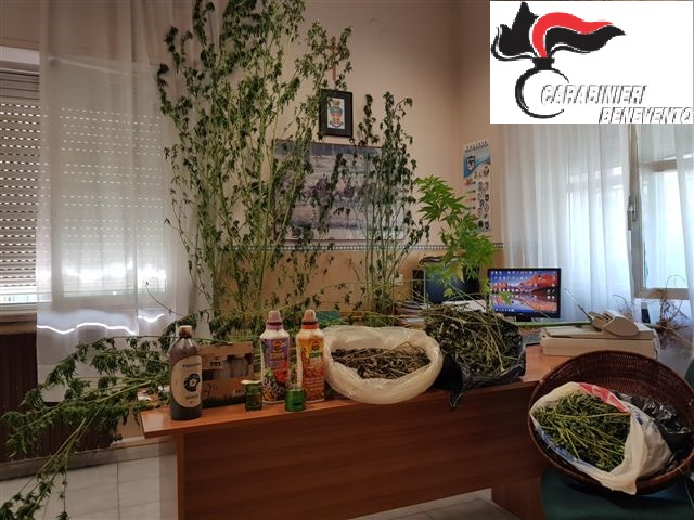 San Giorgio del Sannio| Droga in casa, in manette mamma e figlio