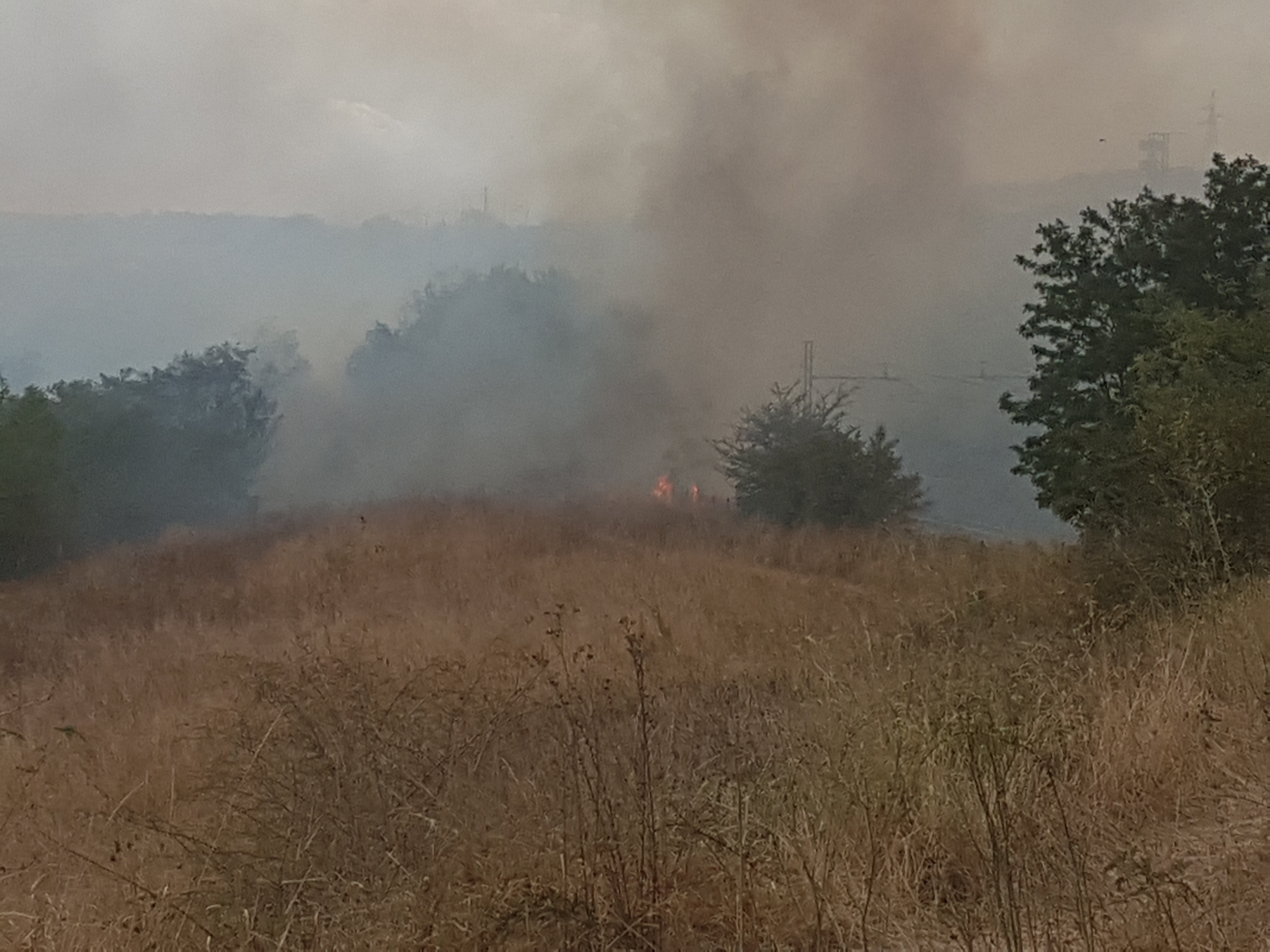 Benevento| Fiamme alla zona industriale di Ponte Valentino