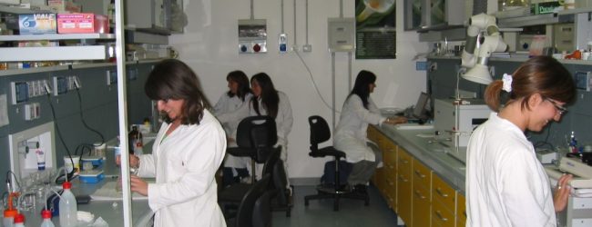 Test per il tumore ai polmoni: la ricerca parla irpino