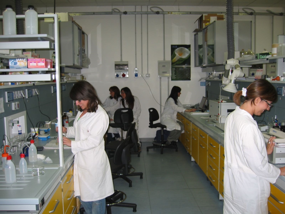 Test per il tumore ai polmoni: la ricerca parla irpino