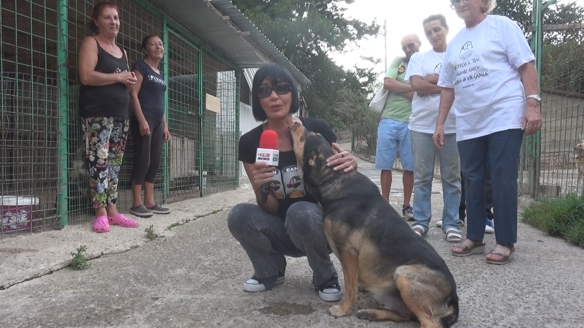 San Giorgio del Sannio| Fiordaliso in visita al canile di Gianguarriello,Adottate un cane!
