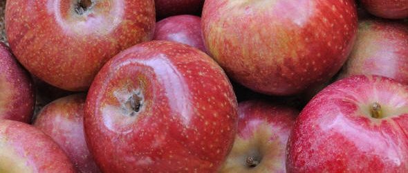 Avellino| Una mela contro la caduta dei capelli