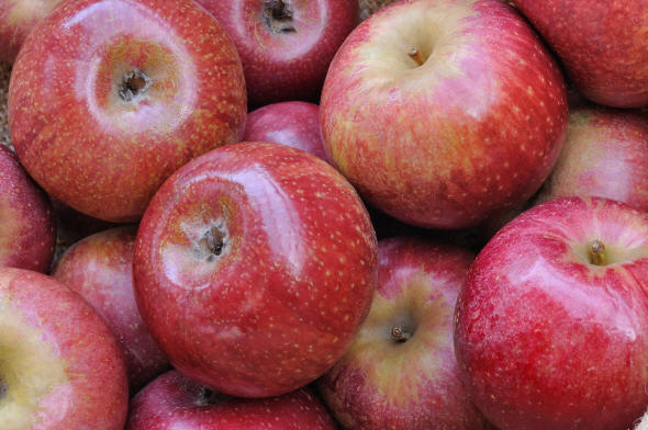 Avellino| Una mela contro la caduta dei capelli