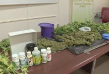 Prata Principato Ultra| Droga: serra su terrazzo per oltre mille dosi. Giovani consumatori abituali