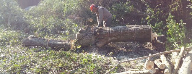 Benevento| Nuovi interventi di messa in sicurezza del fiume Sabato