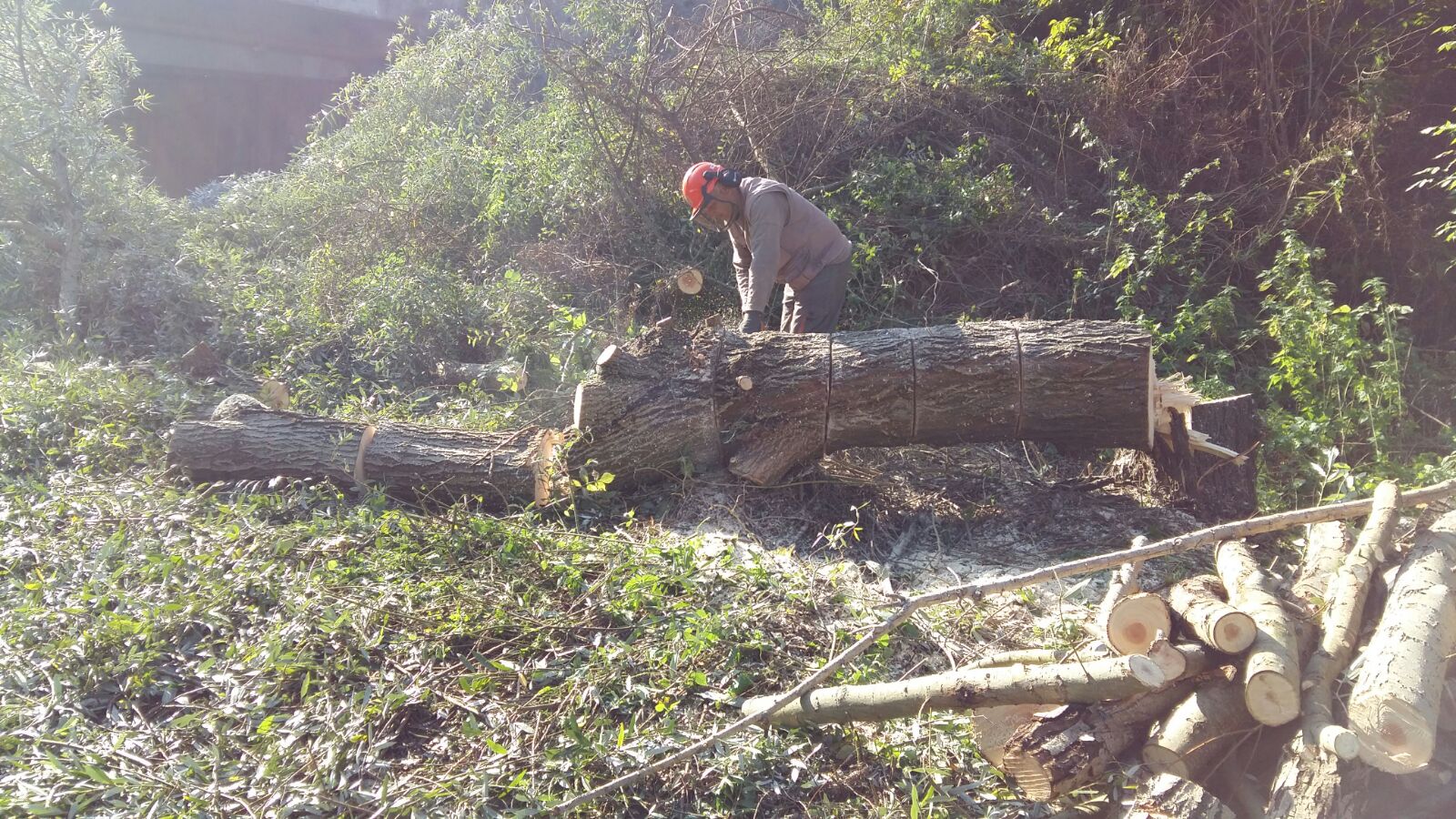 Benevento| Nuovi interventi di messa in sicurezza del fiume Sabato