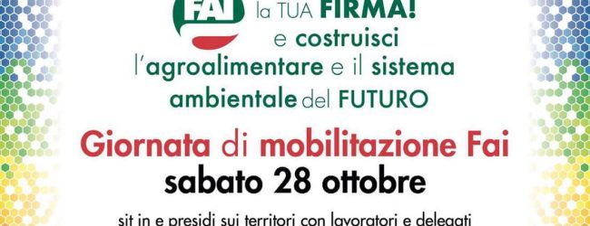Benevento| FAI CISL: sabato 28 ottobre giornata di mobilitazione