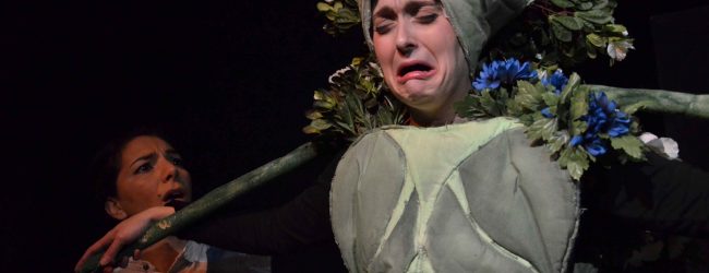 Benevento| Torna il Mulino dei piccoli