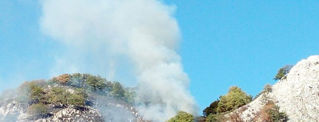 Tre incendi in meno di 24 ore: ritorna l’allarme in Irpinia