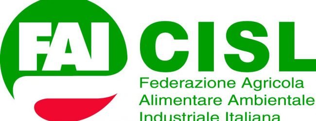 Benevento| Lavoro, mobilitazione FAI CISL: al via raccolta firme in tutte le province