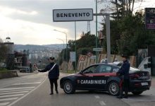 Benevento| Controlli dei Carabinieri nelle aziende agricole, sanzioni e sequestri