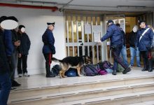 Benevento| Controlli antidroga al Magistrale Guacci