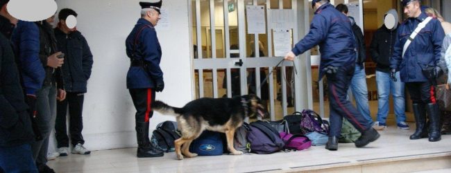 Benevento| Controlli antidroga al Magistrale Guacci