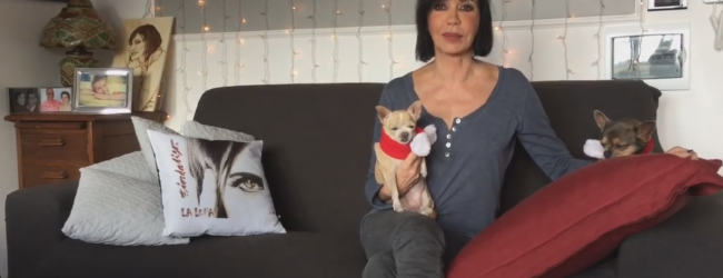 Fiordaliso,l’appello per Tommy il cane paralizzato di San Giorgio Del Sannio