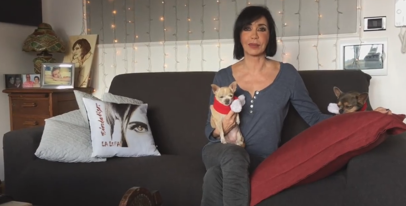 Fiordaliso,l’appello per Tommy il cane paralizzato di San Giorgio Del Sannio